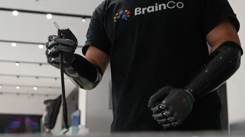 开源企业级搜索方案：优势与挑战并存