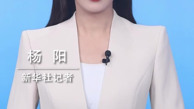 智能客服数据分析：揭秘上海领先企业的数据驱动力
